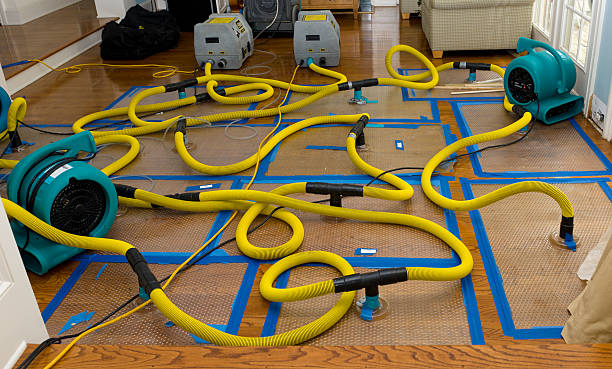 Professional Crawl Space Water Removal technician working in Narberth, PA